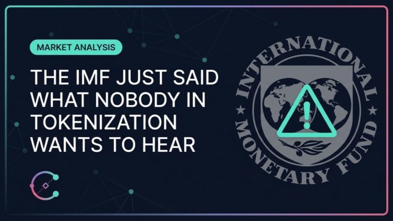 IMF tokenization report warning on systemic risk in tokenized finance | Commodara
